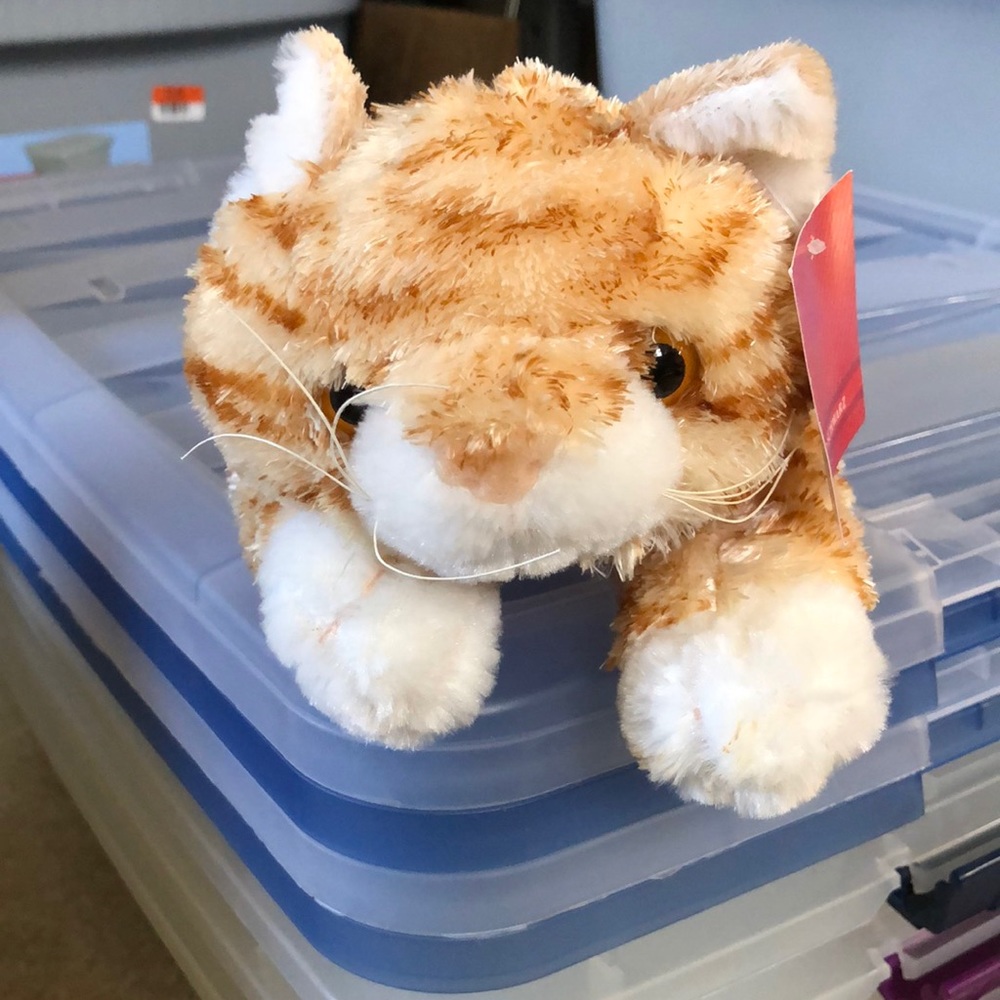 🎄🎅🏻🎁 FOA schwarz shaggy the tabby cat